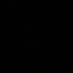 Meet your Posher, Abbey